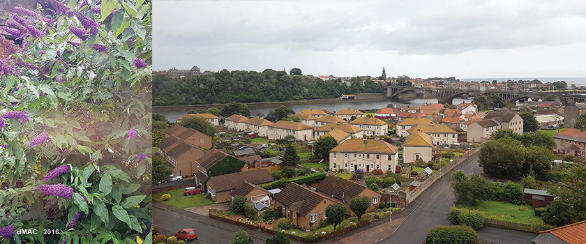 6 Berwick-on-Tweed